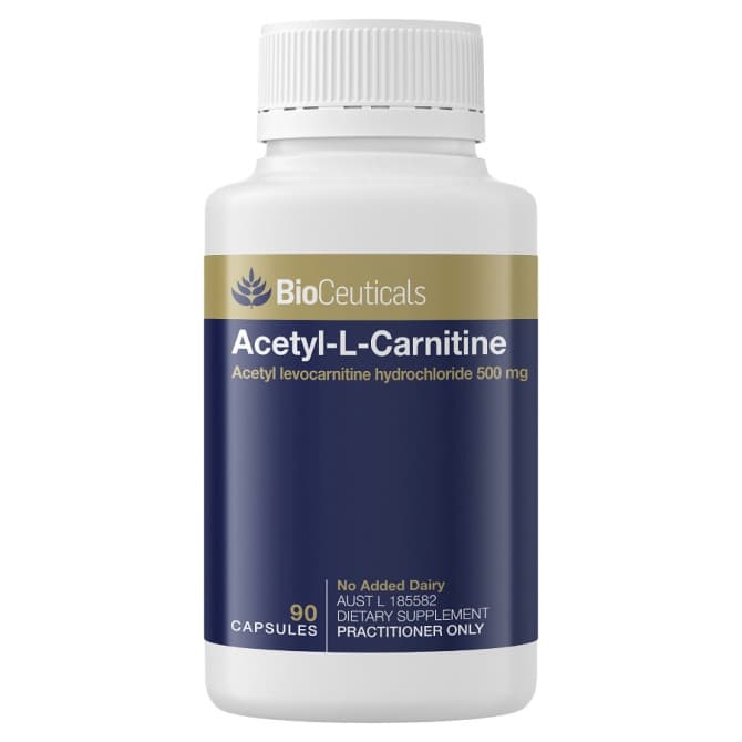 what is l carnitine amino acid ALCAR Supplement for Cognitive Function and Stamina main image 0