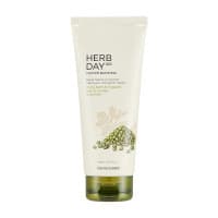 The Face Shop Herb Day 365 Master Blending Mungbean and Mugwort Facial Foaming Cleanser