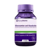 Henry Blooms Glucosamine and Chondroitin 90 Capsules