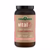 Vital Protein Powder Strawberry 500g