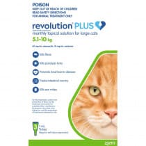 Revolution Plus for Large Cats 5.1 - 10kg Green 3 Pack