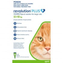Revolution Plus for Large Cats 5.1 - 10kg Green 6 Pack