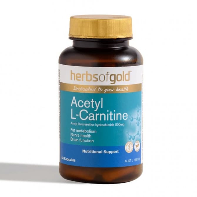 buy acetyl l carnitine australia Buy Herbs of Gold Acetyl L-Carnitine 60 Capsules Online