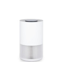 Able Air Purifier