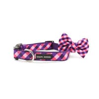 Soapy Moose Dog Collar Medium The Fashionista