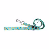 Soapy Moose Lead Standard Pineapple Slices
