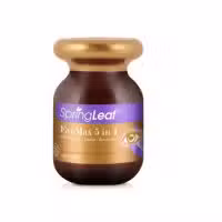 SpringLeaf EyeMax 5 in 1 with Bilberry Plus Lutein Plus Zeaxanthin 60 Tablets