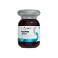 SpringLeaf Prostate Health 60 Capsules