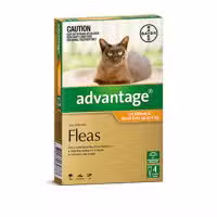 Advantage Cat 0 to 4kg 4 Pack
