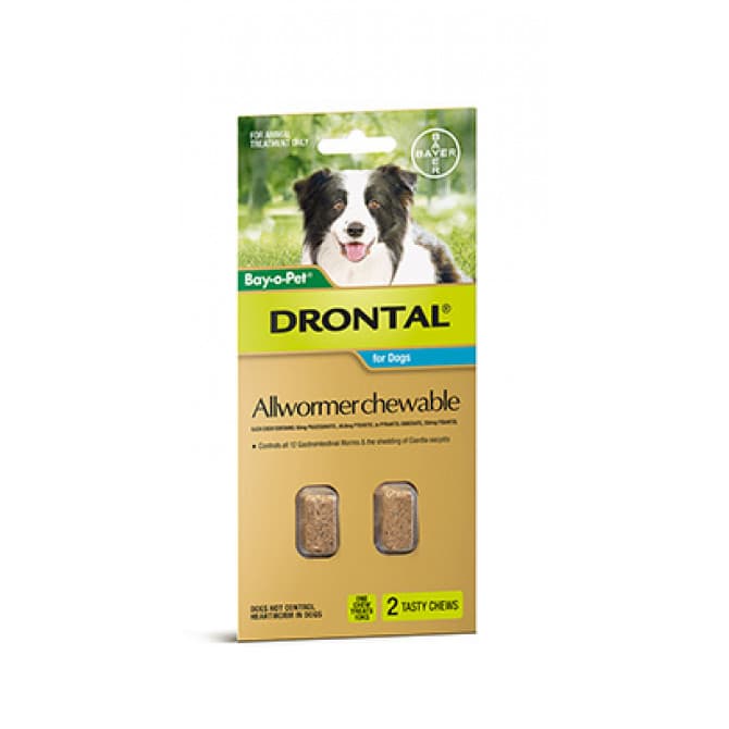 Buy Drontal Dog Allwormer Chewable Medium 10kg 2 Pack Online Chempro Chemists
