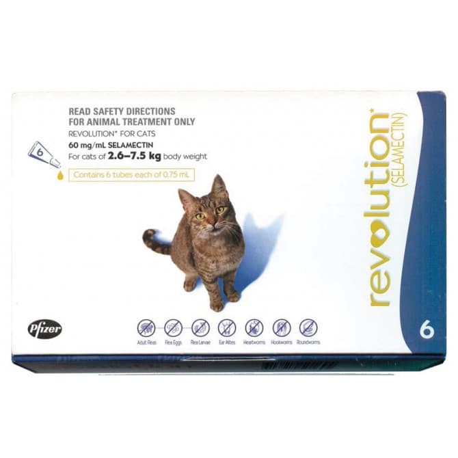 Buy Revolution Large Cat 2.6kg To 7.5kg Pack 6 Online Chempro Chemists