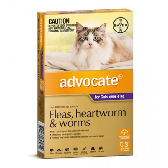 Advocate For Large Cats Over 4kg 3 Pack