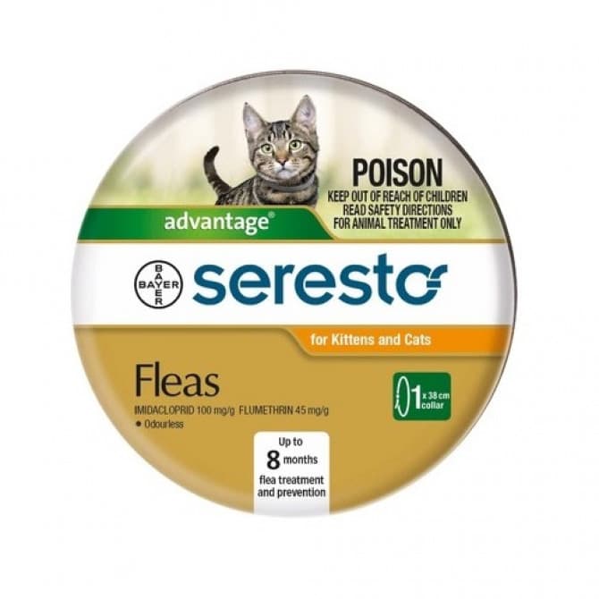 Buy Seresto Fleas Collar For Kittens and Cats Online Chempro Chemists