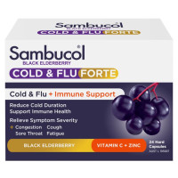 Sambucol Black Elderberry Cold and Flu Forte 24 Capsules